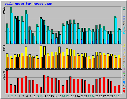 Daily usage for August 2025