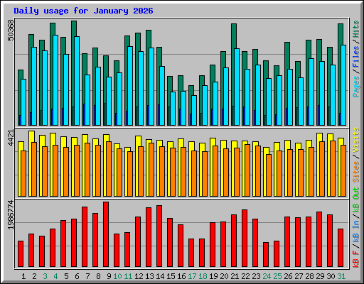 Daily usage for January 2026