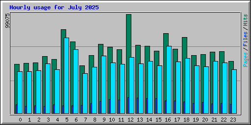 Hourly usage for July 2025