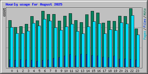 Hourly usage for August 2025