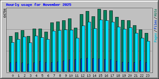 Hourly usage for November 2025