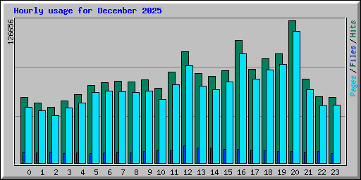 Hourly usage for December 2025