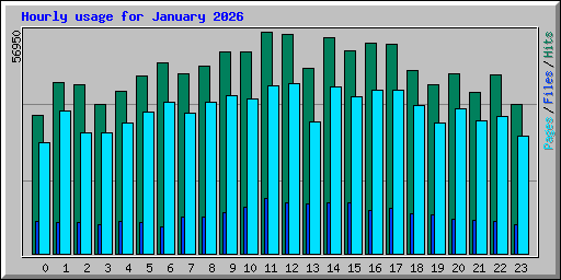 Hourly usage for January 2026