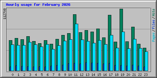 Hourly usage for February 2026